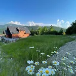 Ceprowo