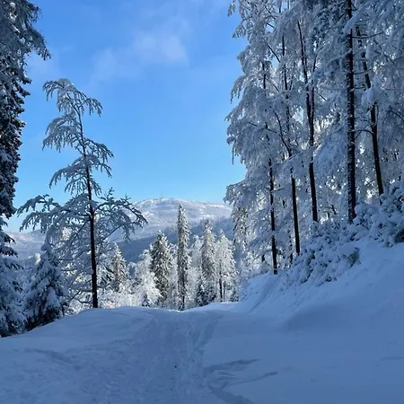 Ceprowo ヴィラ シュチルク