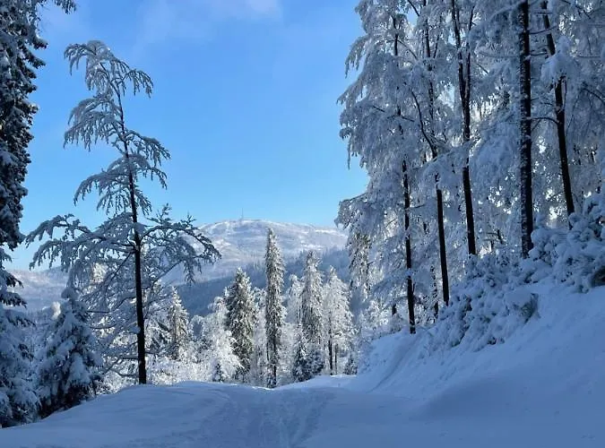 Ceprowo Vila Szczyrk